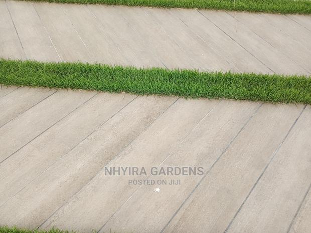 LAWN DESIGN ( Natural Grasses ) · Photo 8
