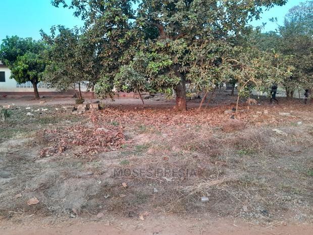 Plot of Land Close to Water and Light · Photo 4