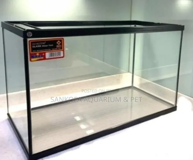 Point & Kill Glass Fish Tank · Photo 1