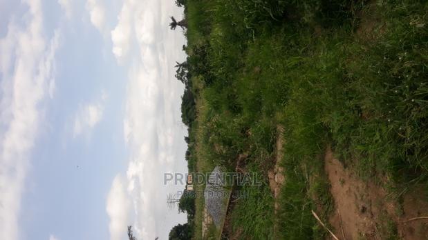 Roadside Farmland for Sale at Akuapim South — Asuboi · Photo 1
