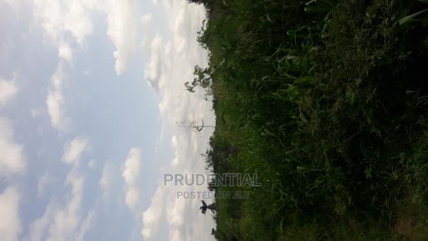 Roadside Farmland for Sale at Akuapim South — Asuboi · Photo 3