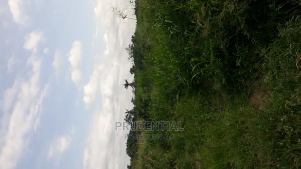 Roadside Farmland for Sale at Akuapim South — Asuboi · Photo 4