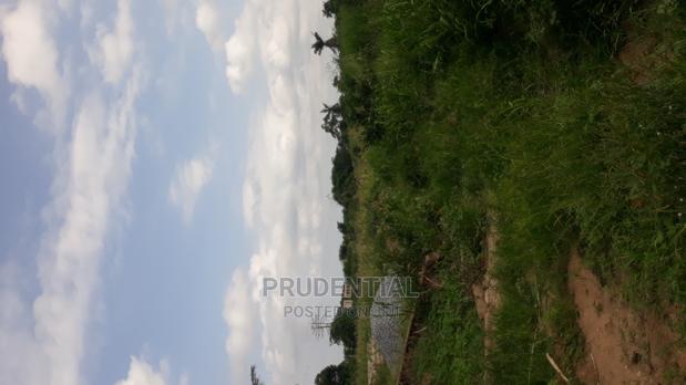 Roadside Farmland for Sale at Akuapim South — Asuboi · Photo 5
