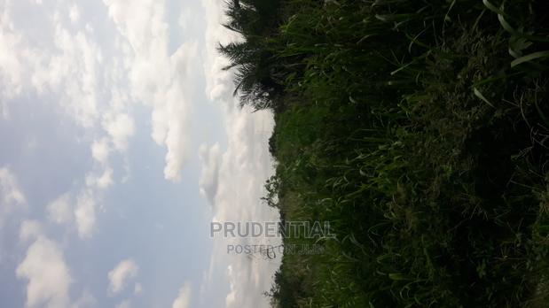 Roadside Farmland for Sale at Akuapim South — Asuboi · Photo 7