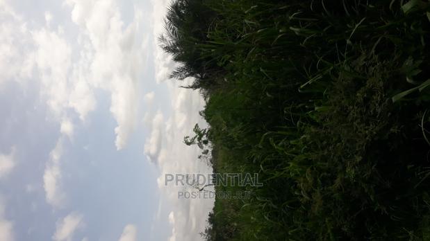 Roadside Farmland for Sale at Akuapim South — Asuboi · Photo 2