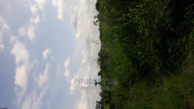 Farmland for Sale at Akuapim South · Photo 1