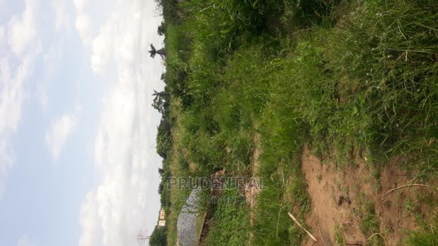 Farmland for Sale at Akuapim South · Photo 4