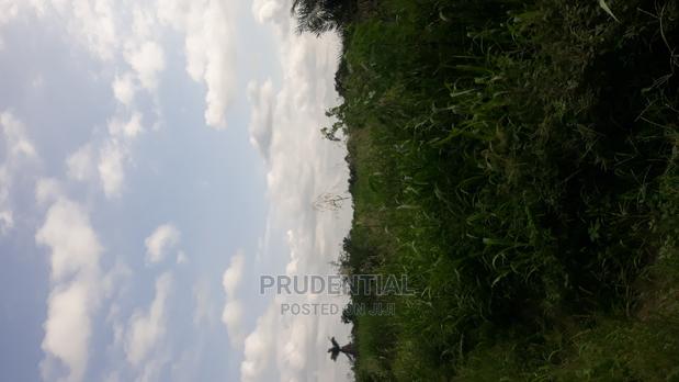 Farmland for Sale at Akuapim South · Photo 6