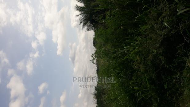 Farmland for Sale at Akuapim South · Photo 5