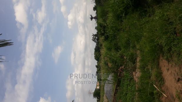 Farmland for Sale at Akuapim South · Photo 3