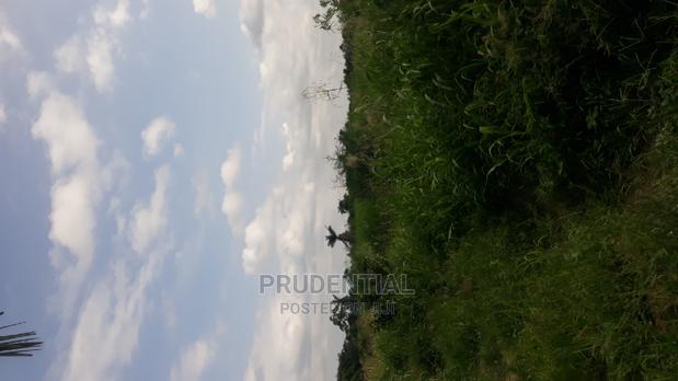 Farmland for Sale at Akuapim South · Photo 2