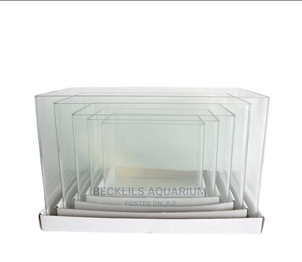 Open Table Top Aquariums Available · Photo 1