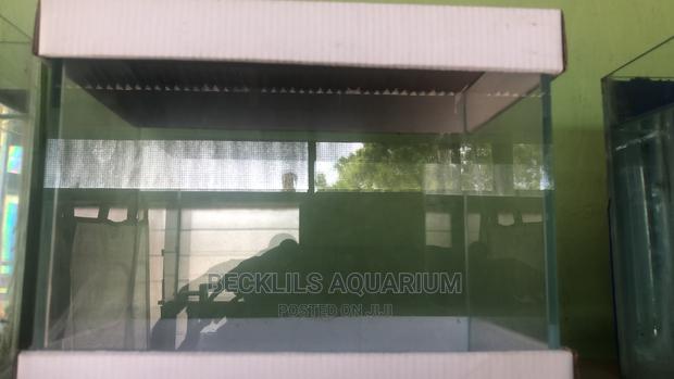 Open Table Top Aquariums Available · Photo 2