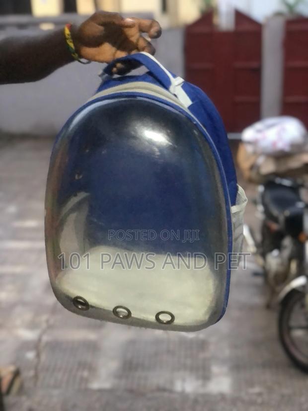 Pet Backpack Carrier · Photo 8
