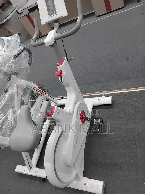 Smart Luxury Spin Bike · Photo 1
