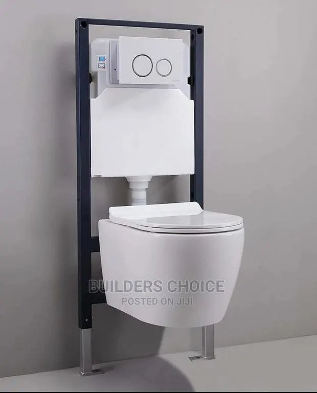 Concealed Water Closet_ With Its Cistern_hanging WC · Photo 1