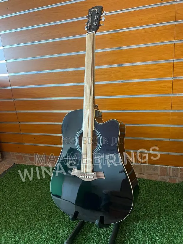 Black Semi Acoustic Guitar