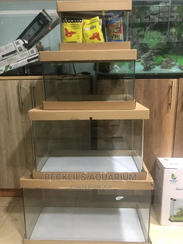 Open Aquariums · Photo 1