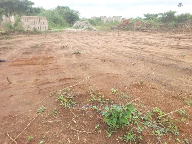 A Half Plot at Adesina for Sale · Photo 4