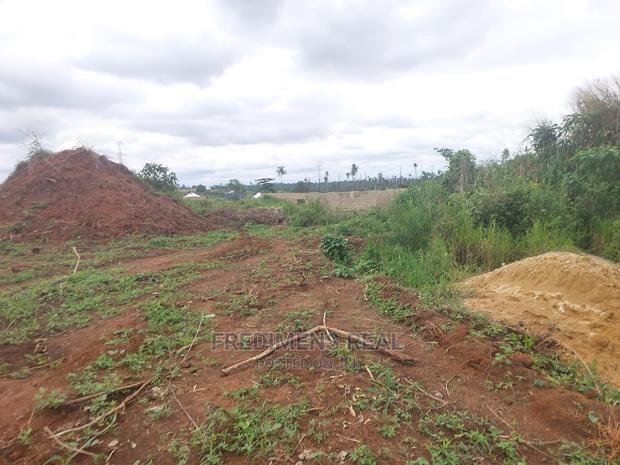A Half Plot at Adesina for Sale · Photo 5