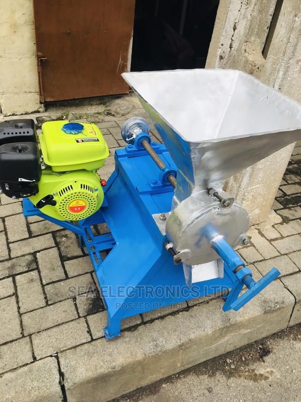 Pepper And Tomatoes Grinder Machine · Photo 1