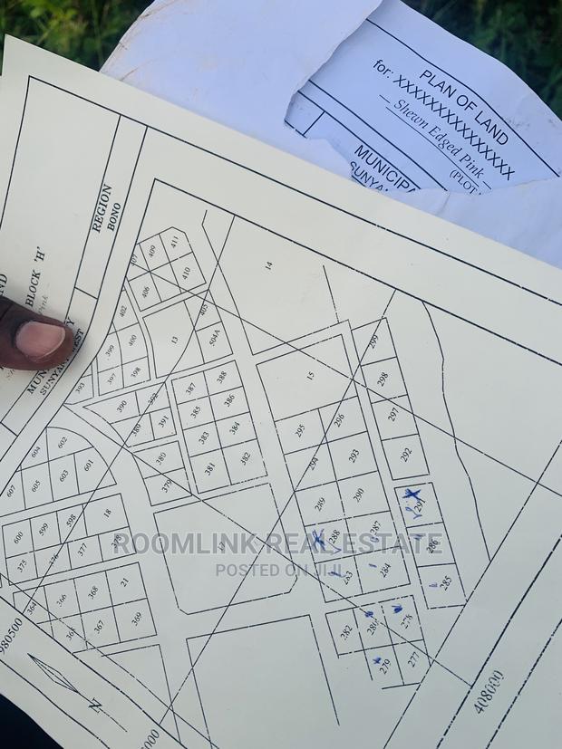 Land for Sale in Fiapre · Photo 3