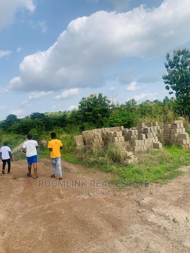 Land for Sale in Fiapre · Photo 2