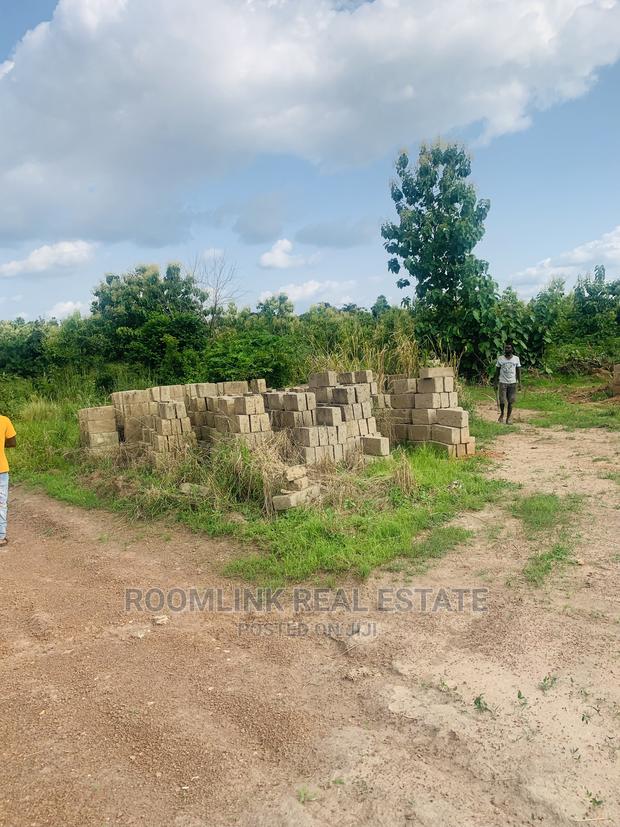 Land for Sale in Fiapre · Photo 4
