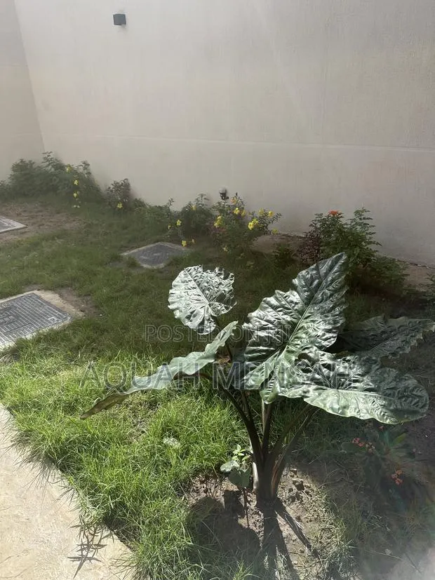 Landscaping · Photo 1