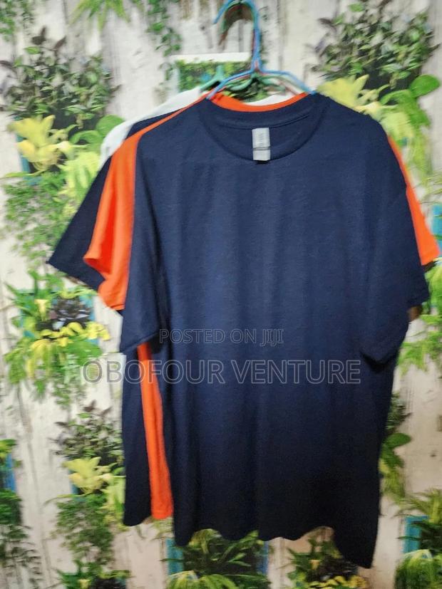 Quality Unisex Plain T-Shirt From USA · Photo 2