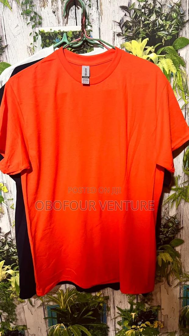 Quality Unisex Plain T-Shirt From USA · Photo 2