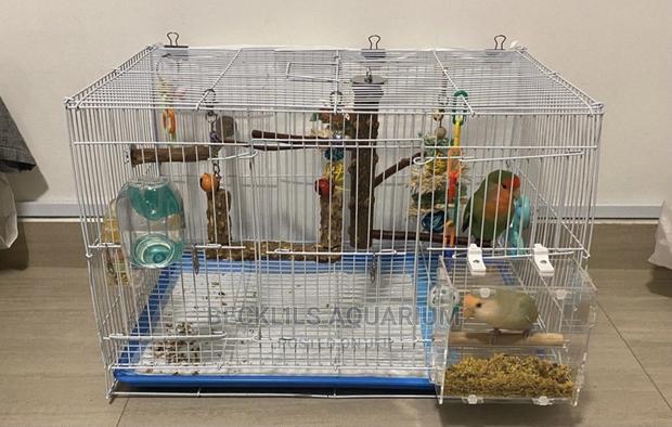 Quality Double Parrot Cages Available · Photo 2