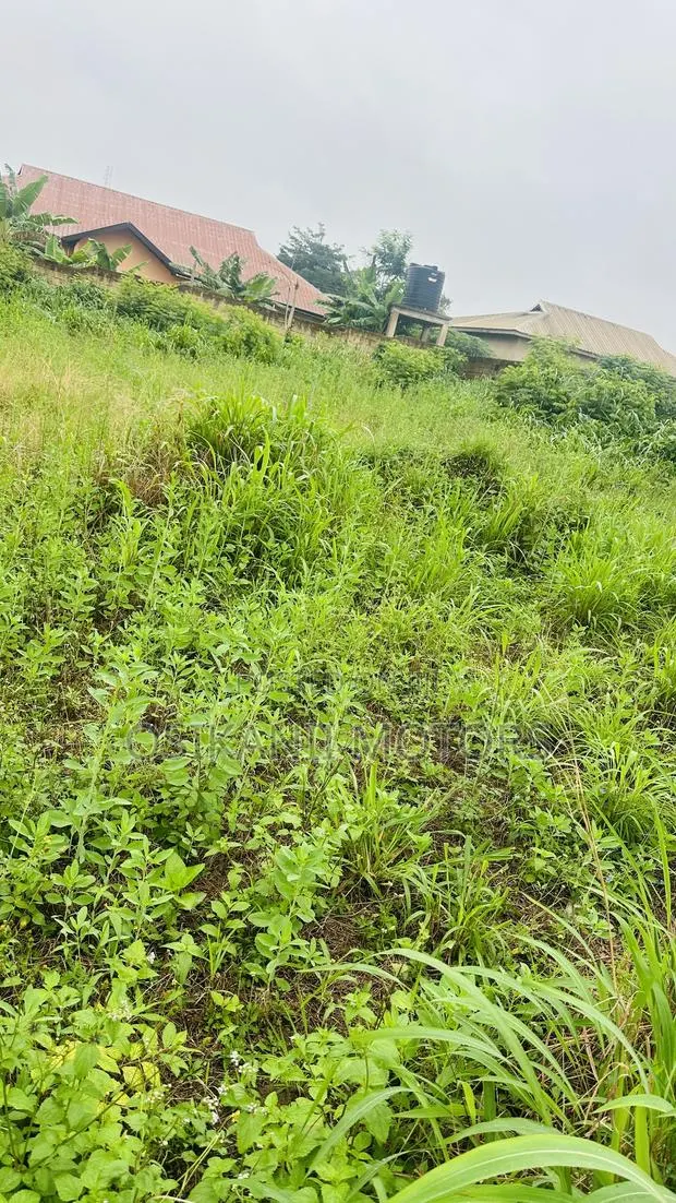 One Plot of Land · Photo 1