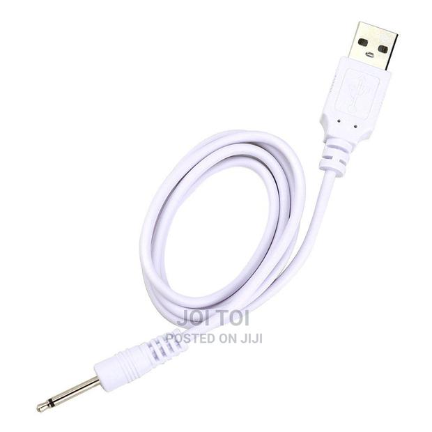 Vibrator Charger · Photo 1