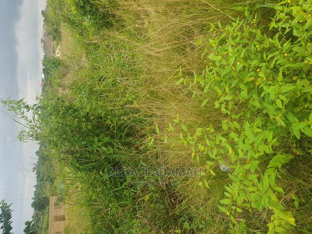 Plot for Sale at Santasi Darko New Site · Photo 3