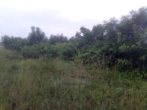 Farm Land for Sell at Asuboi · Photo 1