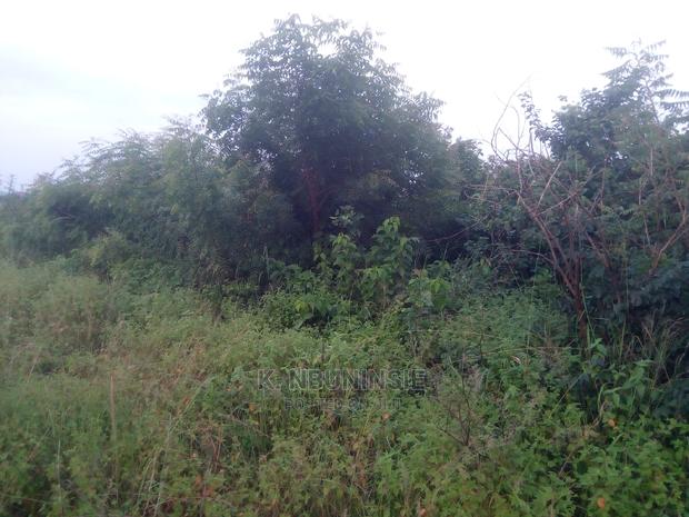 Farm Land for Sell at Asuboi · Photo 2