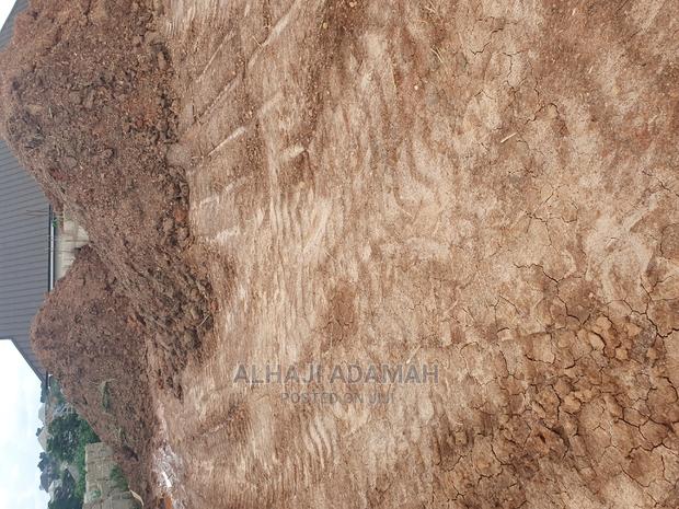 Half Plot for Sale at Santasi Darko · Photo 1