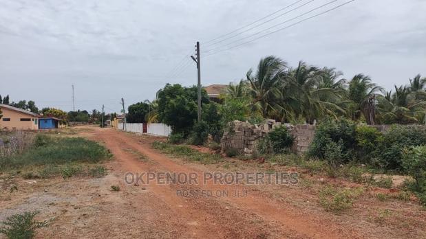 Riverside Beach Land for Sale at Ada · Photo 3