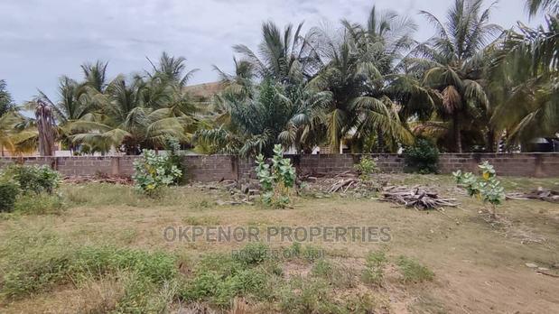 Riverside Beach Land for Sale at Ada · Photo 4