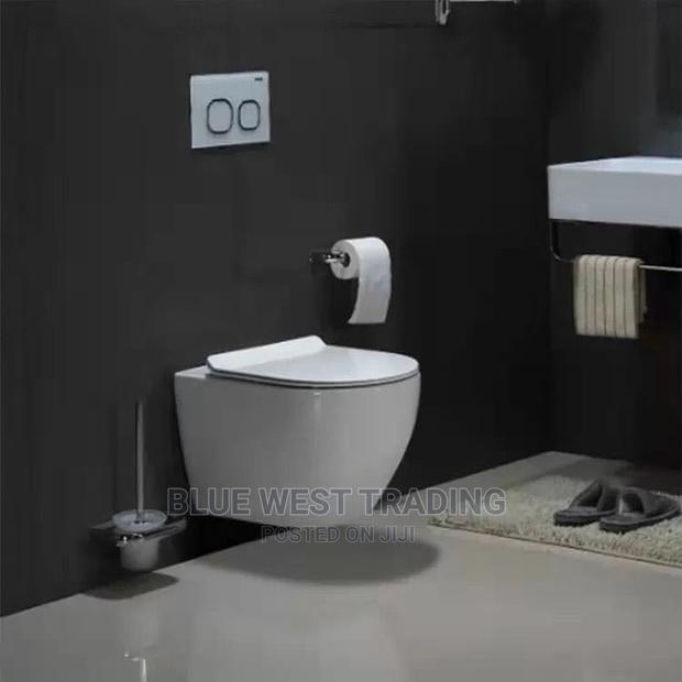 Hanging Water Closet - Concealed Water Closet · Photo 1