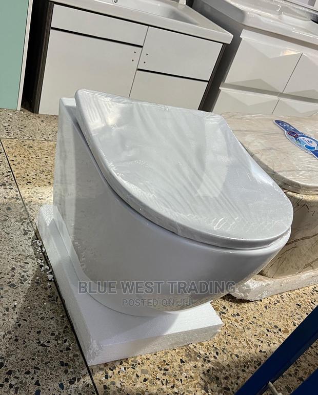 Hanging Water Closet - Concealed Water Closet · Photo 2