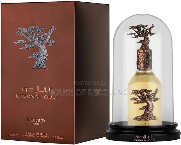 Lattafa Eternal Oud · Photo 1