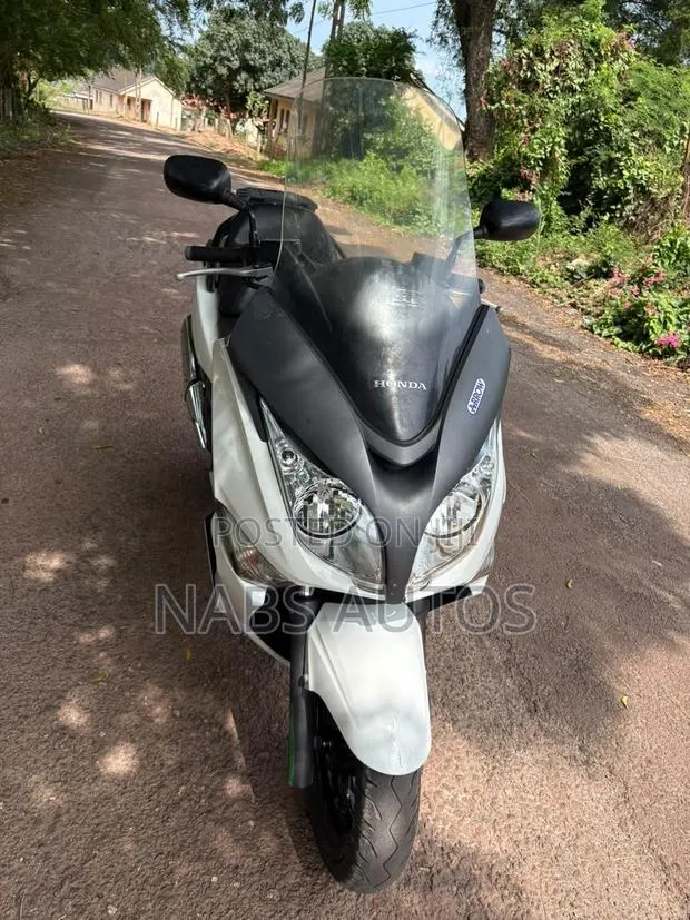 Honda 2015 White