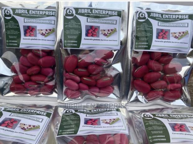 African Sword Beans (Canavalia Gladiata) · Photo 2