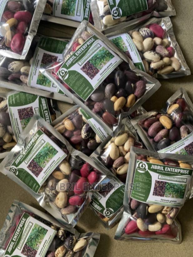 African Sword Beans Mixture (Canavalia Gladiata) · Photo 3