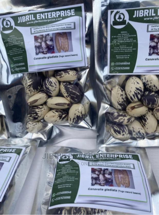 Whitish Purple African Sword Beans (Canavalia Gladiata) · Photo 3