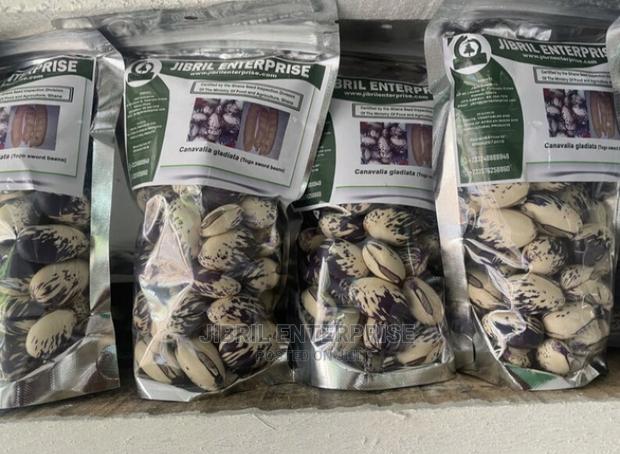 Whitish Purple African Sword Beans (Canavalia Gladiata)