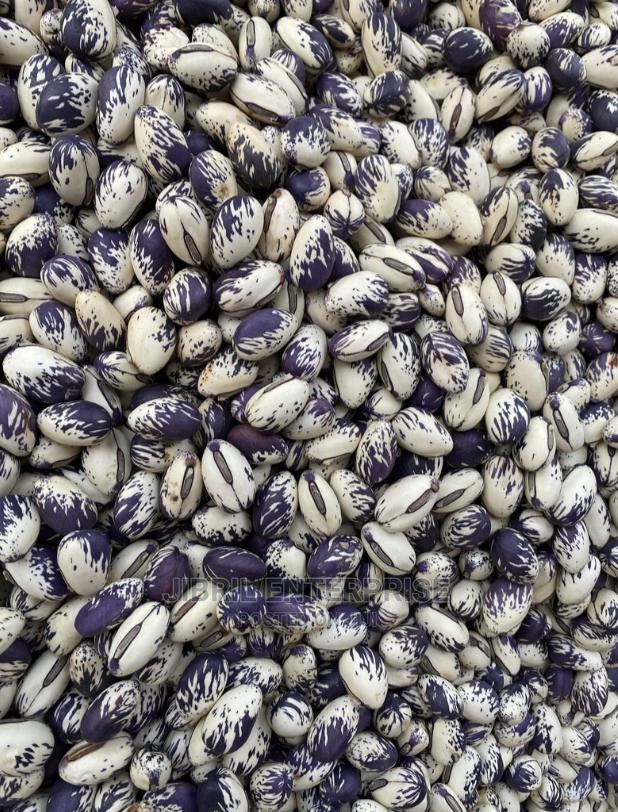 Whitish Purple African Sword Beans (Canavalia Gladiata) · Photo 4