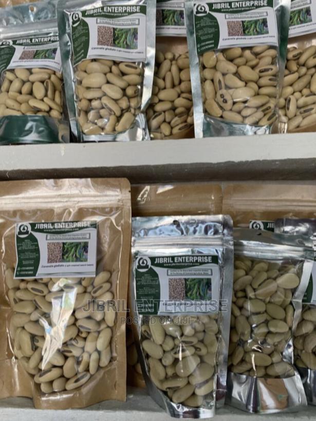 White Sword Beans (Canavalia Gladiata) · Photo 2